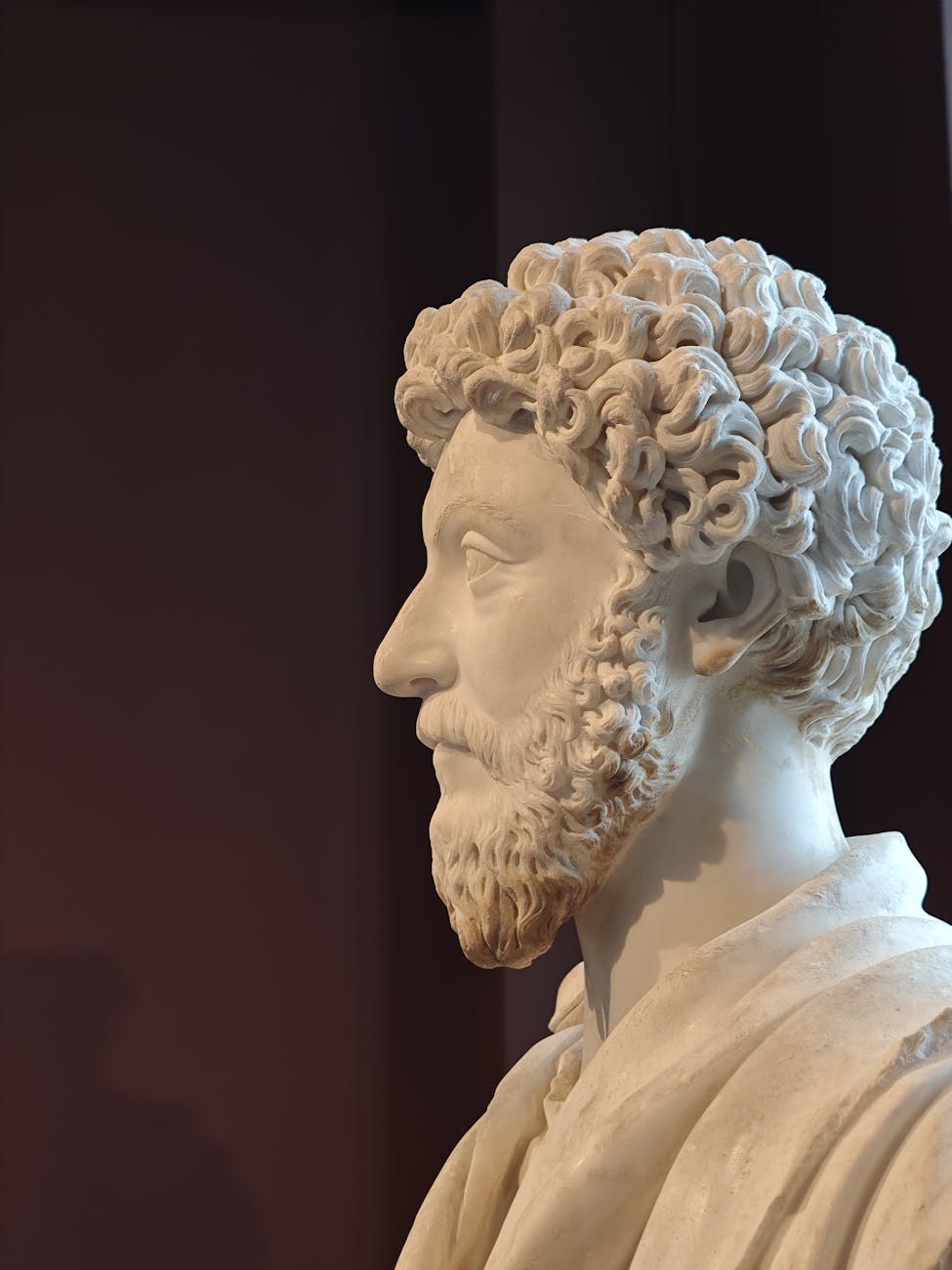 Let It Be or How to Apply Stoicism in Highly Stressful Situations